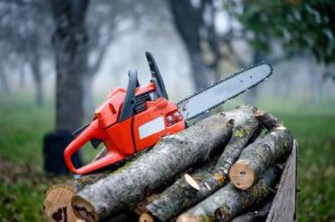 Tree Removal and Trimming Services in Bucks PA