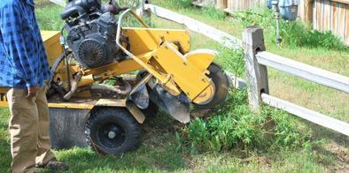 Stump Grinding Services in Bucks PA