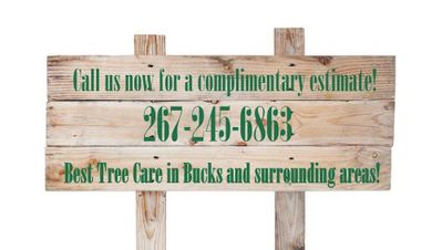 Tree Landscaping Service Bucks PA