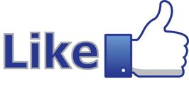 Follow Tree Care in Bucks on Facebook