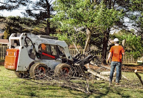 Lot Clearing & Tree Removal Services in Bucks PA